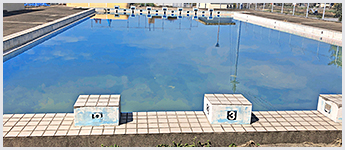 写真：岩国運動公園 市営旭プール